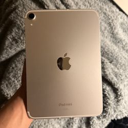 iPad Mini A17