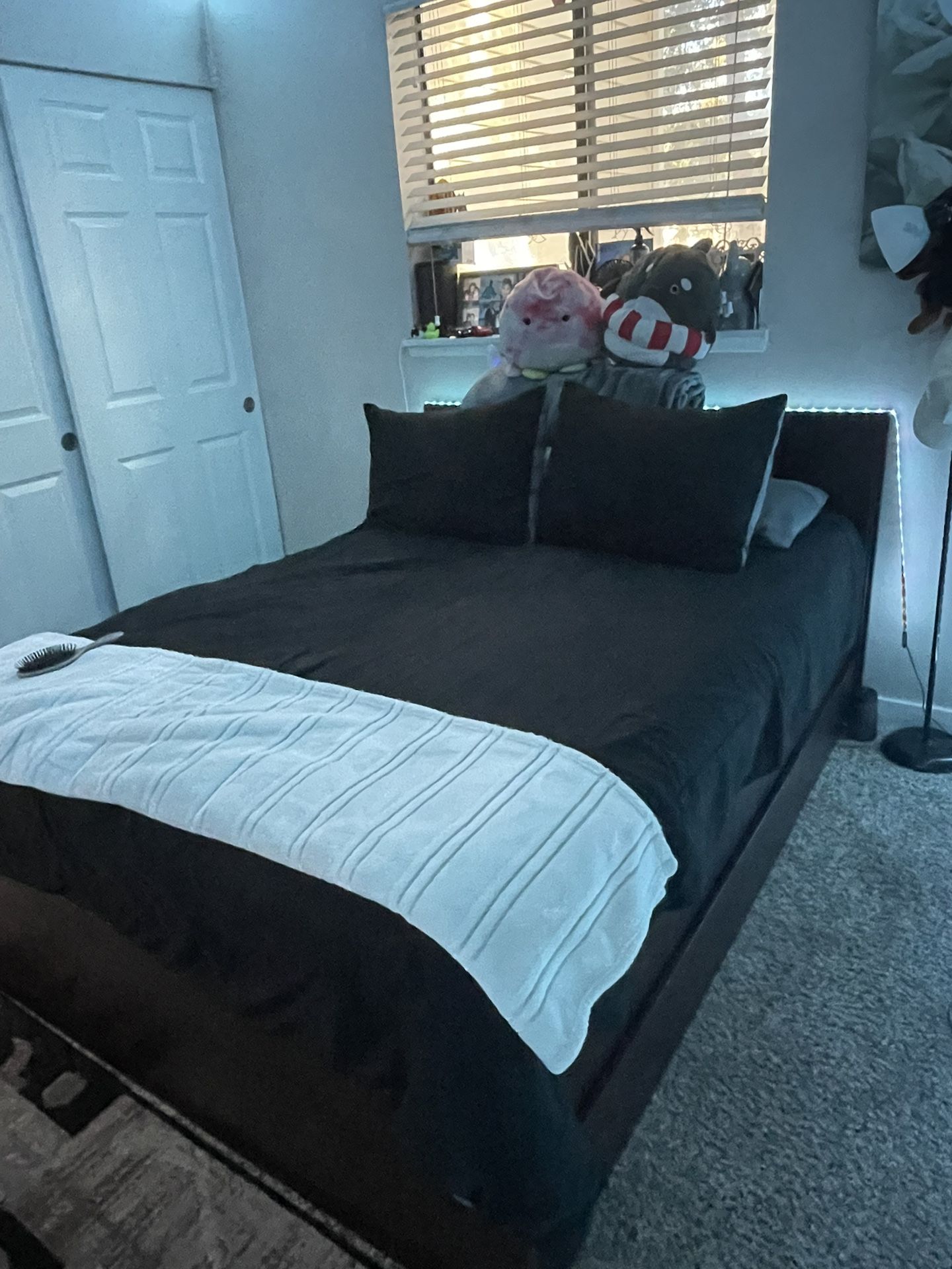 Queen Size bed Frame