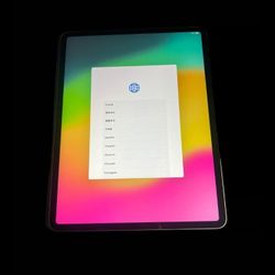 Used 2021 Apple iPad Pro 12.9" (5th Gen) Wi-Fi 256GB Gray A2378 (Please Read)