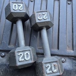 Weight Dumbbells 