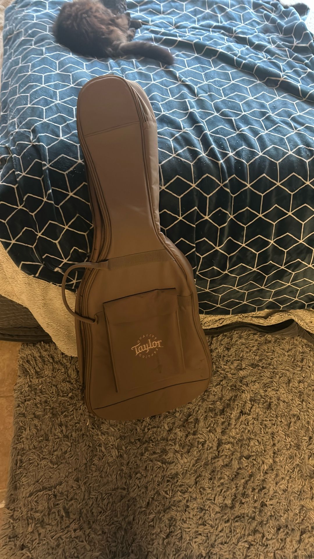 Taylor guitar case