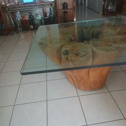 Tree Stump Live Coffee Table 