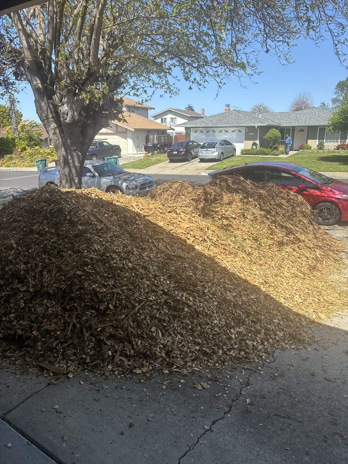 Free Mulch.