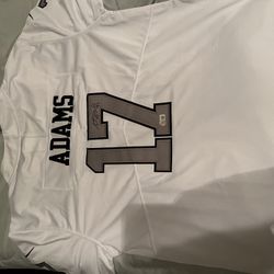 Las Vegas Raiders Signed Davante Adams Nike Jersey