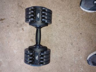 1 FLYBIRD  55 LB. MAX DUMBELL
