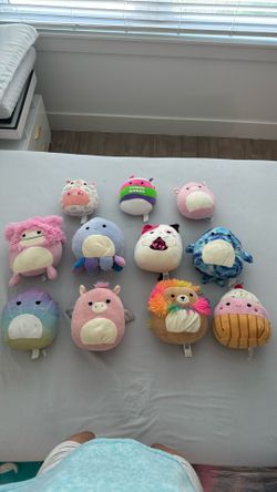 3 Dollars For Each Squishmallow And All Together 25 Dollars