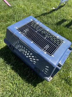 Louis Vuitton Dog Carrier. for Sale in Hesperia, CA - OfferUp