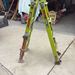 Little Giant Ladder