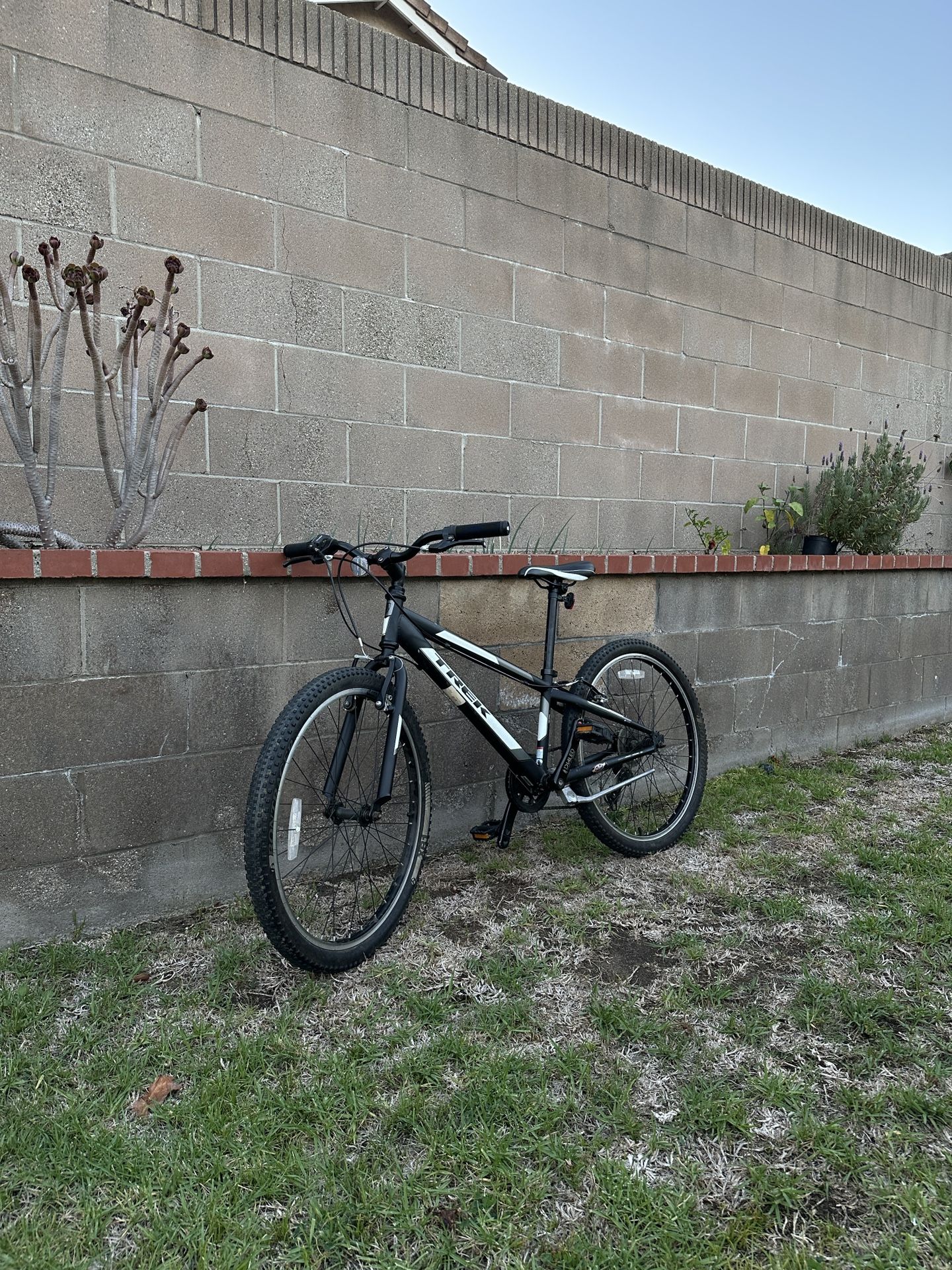 MT200 Trek Mountain Bike