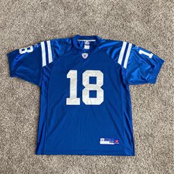 Indianapolis Colts Peyton Manning Football Jersey for Sale in Indianapolis,  IN - OfferUp
