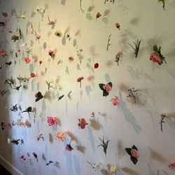 Flower Wall For Parties And Weddings
