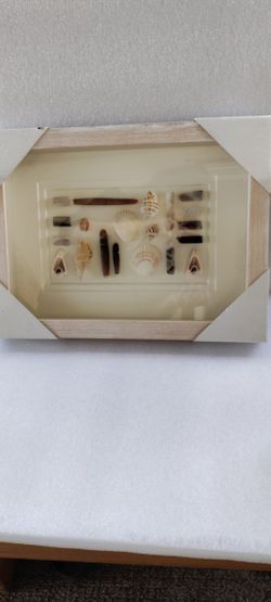 Beautiful Collage And Assortment Of Sea Shells In A 3D Shadow Box With Glass. Ocean, Wall Decor, CHECK OUT MY OTHER GREAT LISTINGS