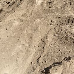 Free Dirt 