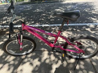 MAGNA GREAT DIVIDE 20"6 SPEED BICYCLE Fits adults and Children/youth