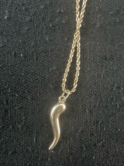 10k gold rope chain and 14k charm