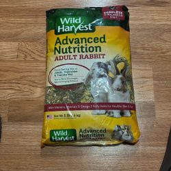 Rabbit Food 