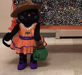 Halloween decor for house 🏡