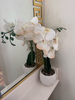 White flower