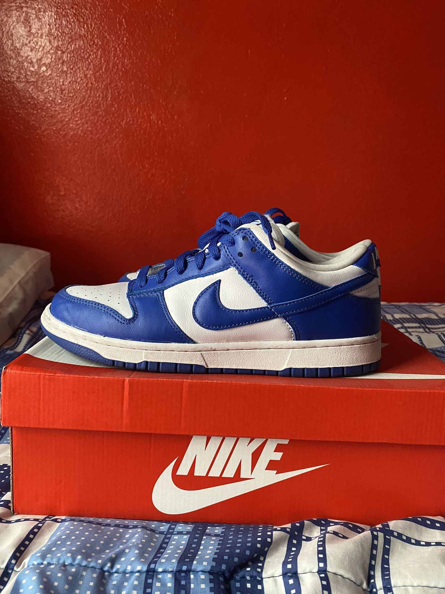 Nike Dunk Lows Kentucky - Main Image