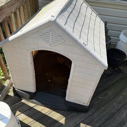Insulated dog House