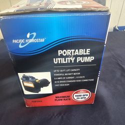 Portable Water Pump