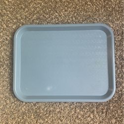 Food Serving Tray $1