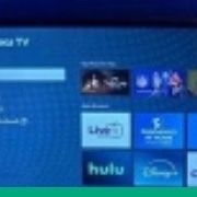 Roku 32” Tv 
