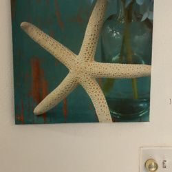 Star Fish Picture On Canvas 