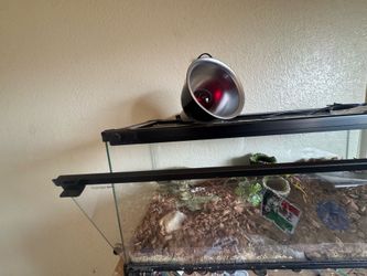Reptile tank 30 x 12