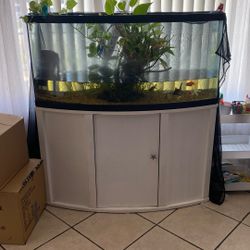 Fish Tank And Stand