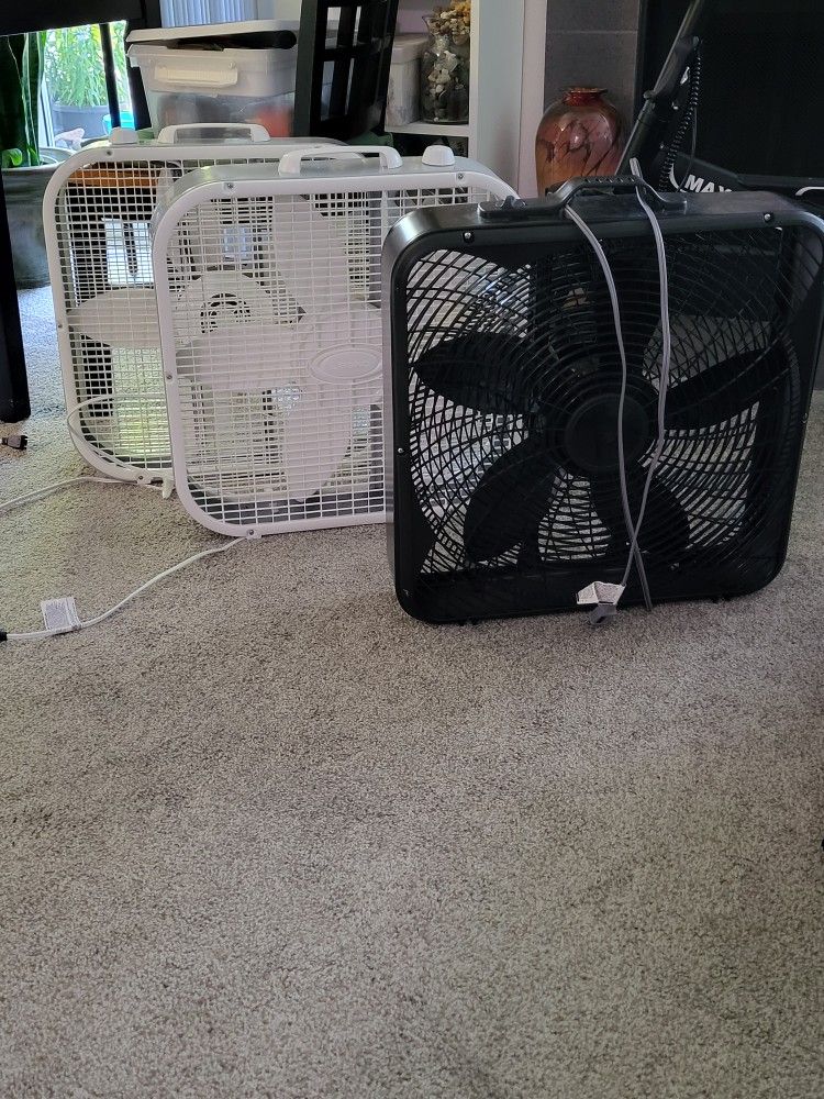 3 Box Fans