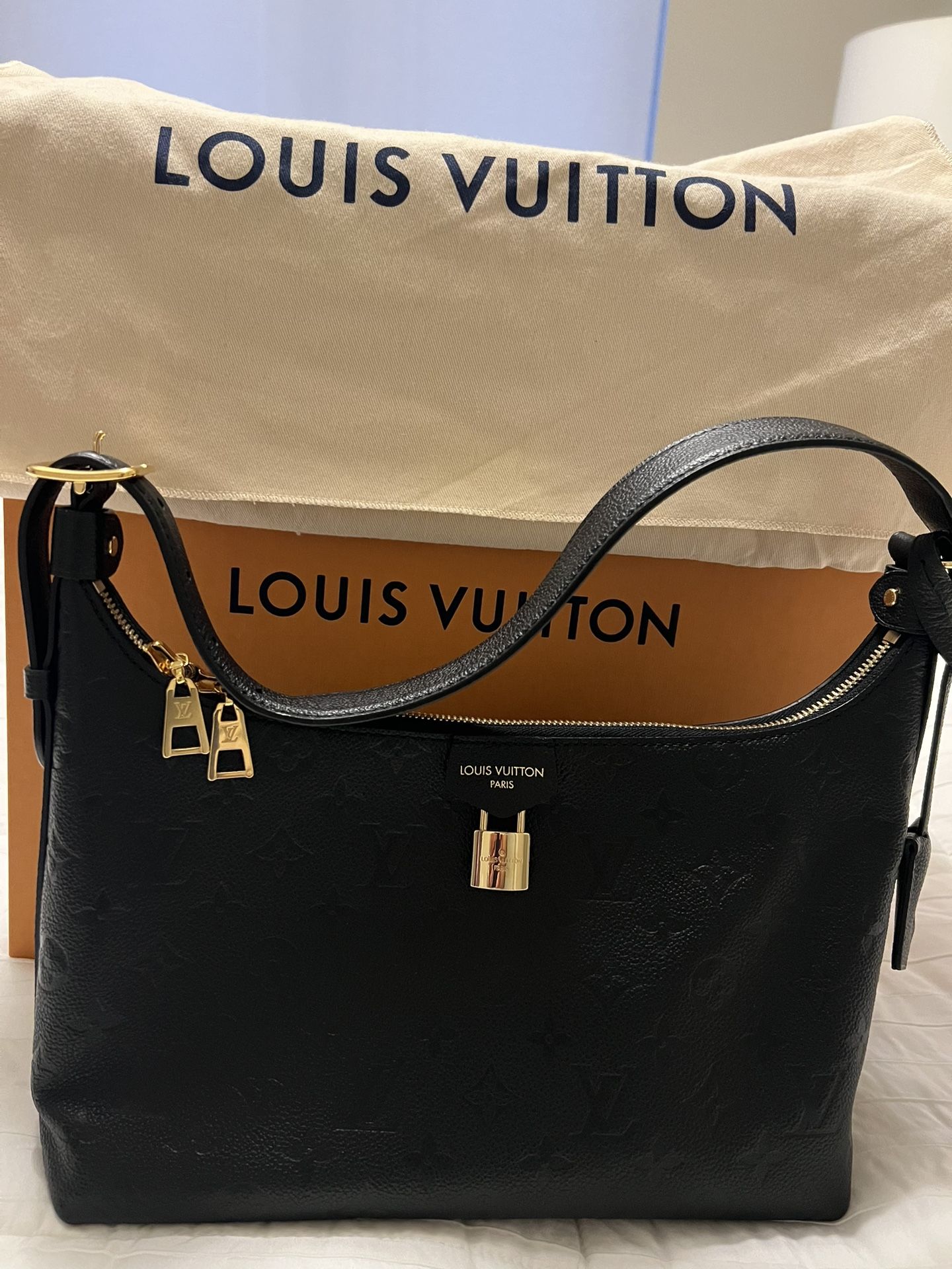 Louis Vuitton Bag