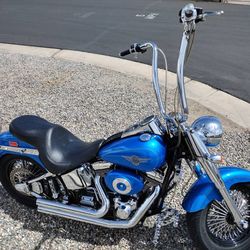 2002 Harley Davidson Flstf
