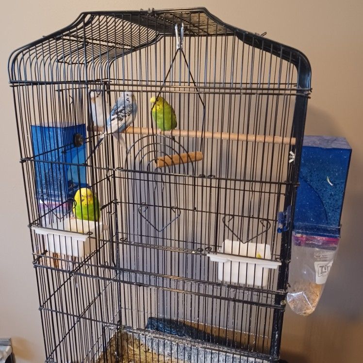 Cage