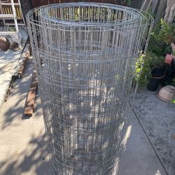 Wire Fences 