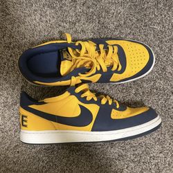 Nike Terminator Low “Michigan” size 12.5M