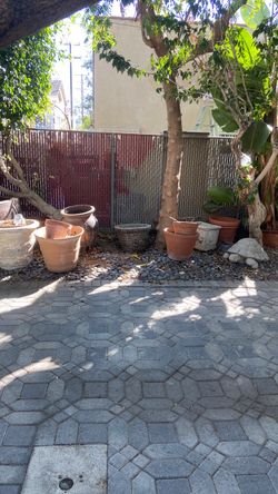 Free planters