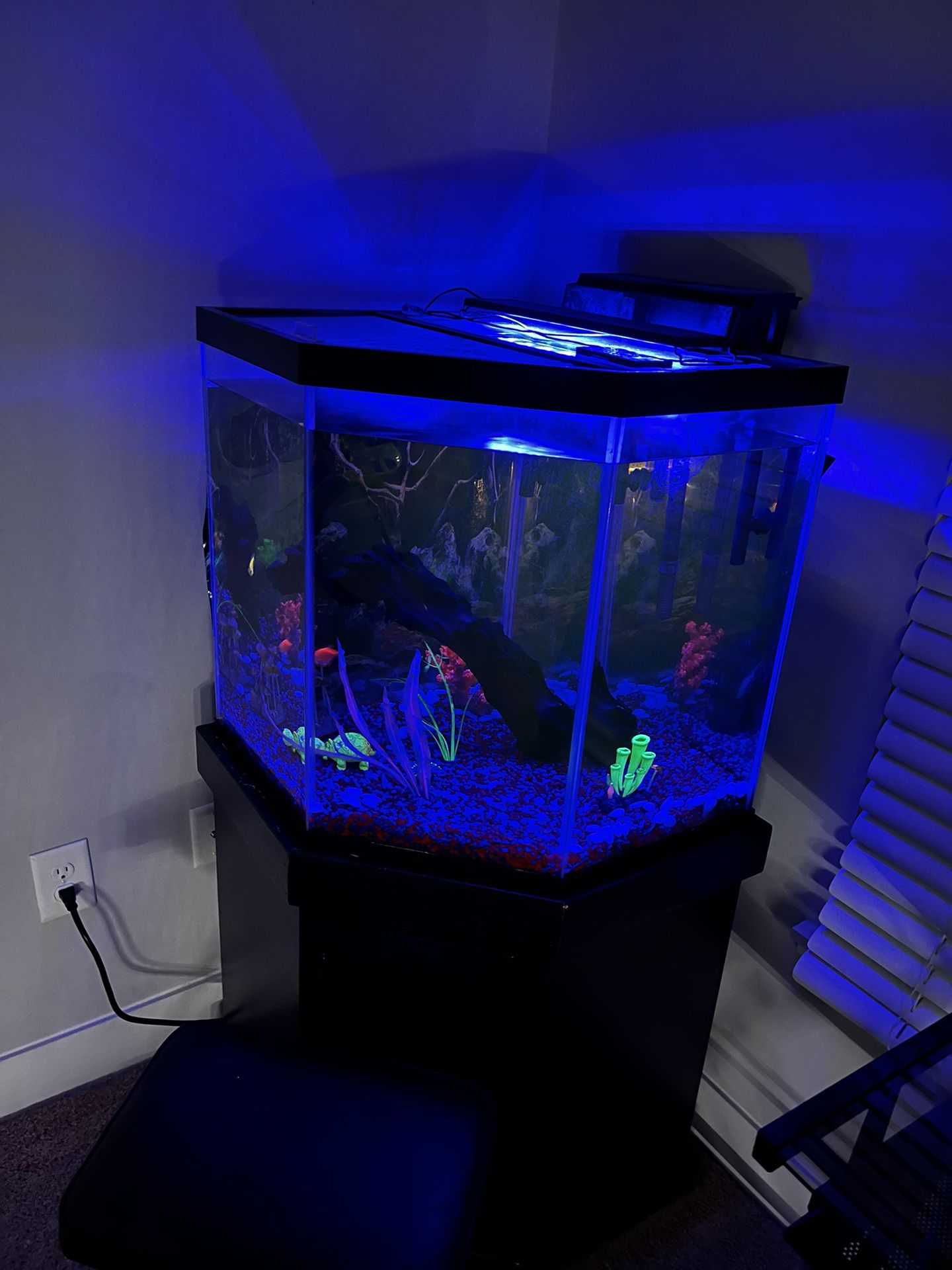 44 Gallon Fish Tank + Stand And Filter