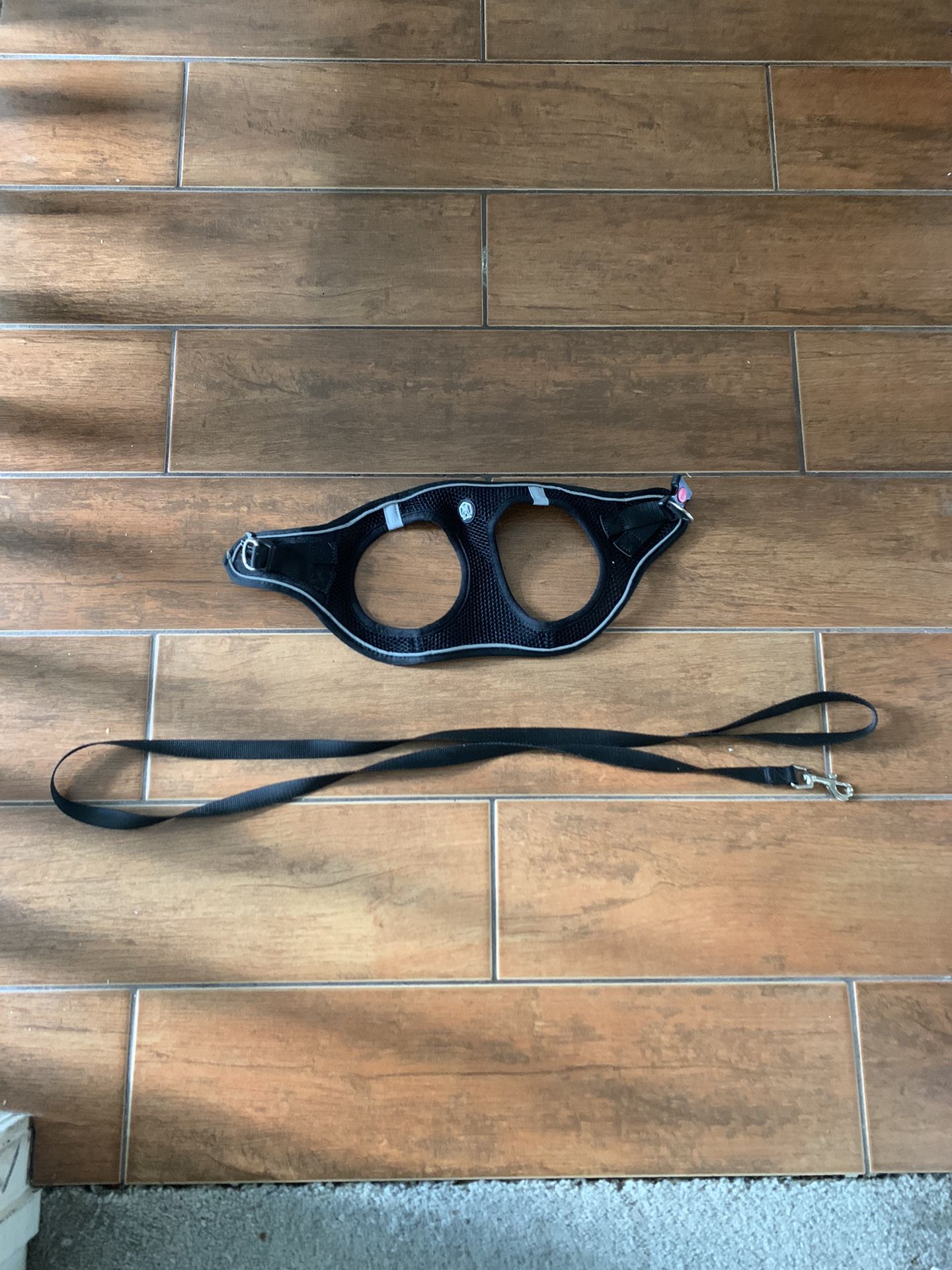 Pet Harness