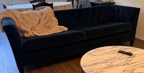 Velvet Couch