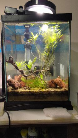 Tank for sale!