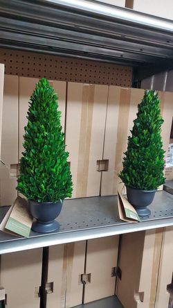 Artificial Boxwood trees 16in tall 15.00ea