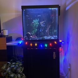 30 Gal Fish Tank With Stand And Fish