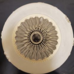 Frosted Glass Ceiling Globe. Features a pretty leaf and berry design.