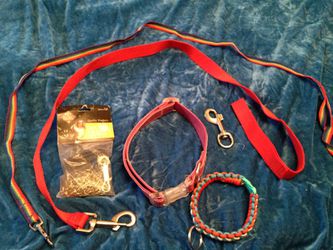 Misc dog leashes and collars