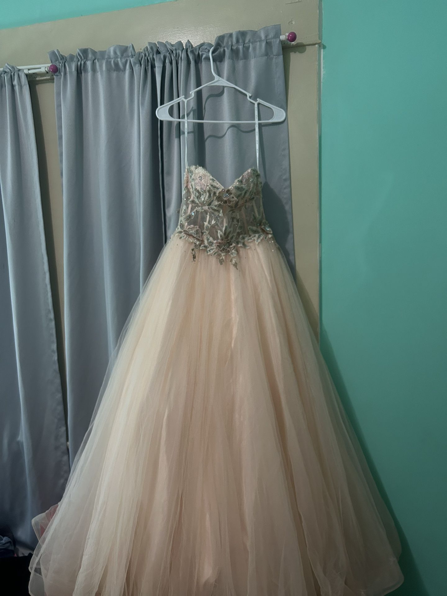 Prom/ Quinceanera Dress