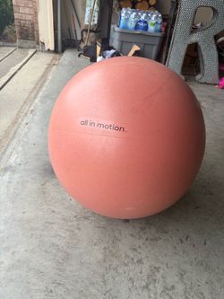 All in Motion Exercise Ball