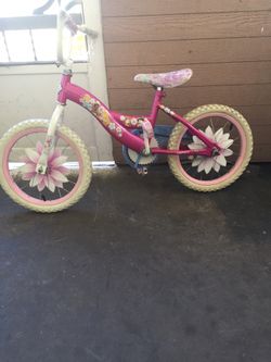 Bicycle beautiful Schwinn