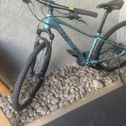 The Giant Liv Rove 3 (XS, Teal green) 