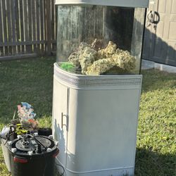 50 Gallon Fresh Water Fish Tank